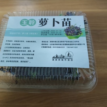 萝卜芽苗菜