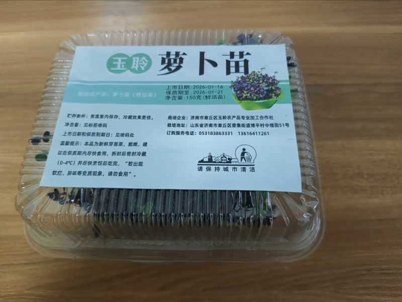 萝卜芽苗菜
