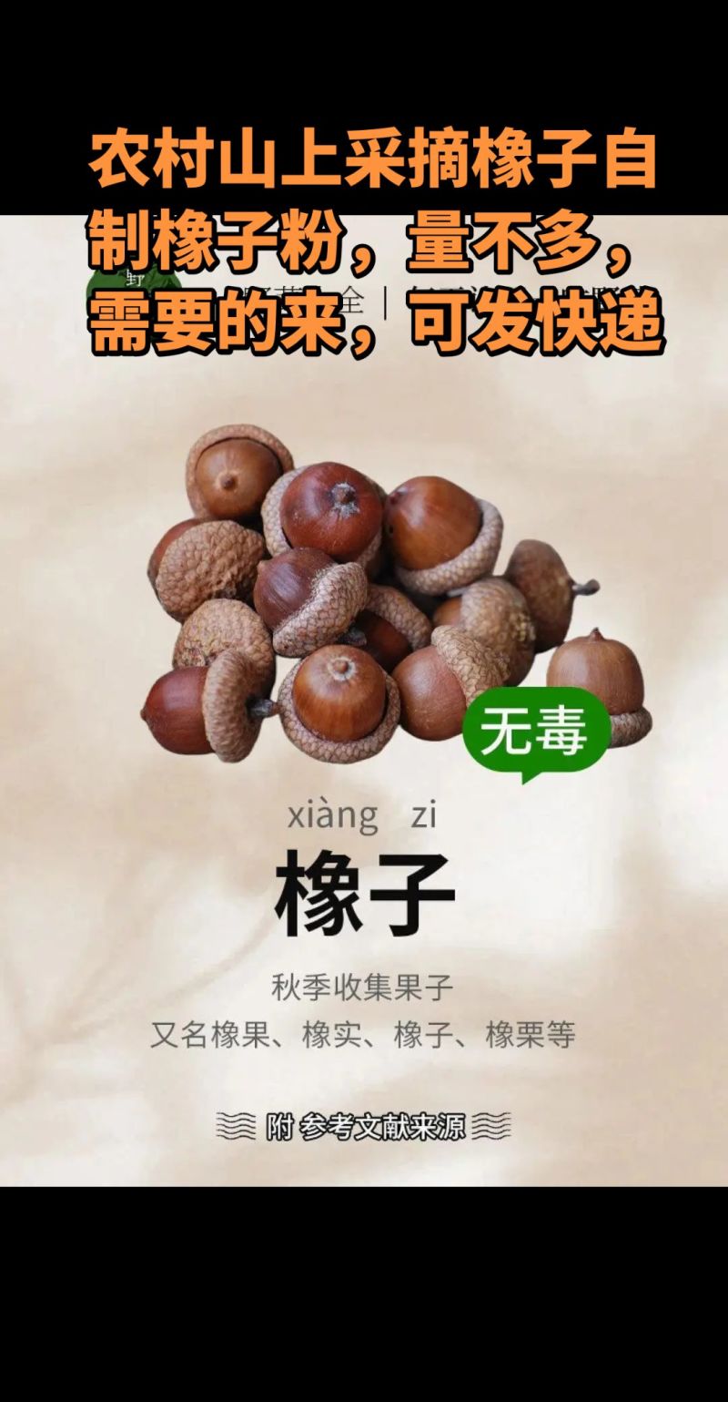 橡子粉