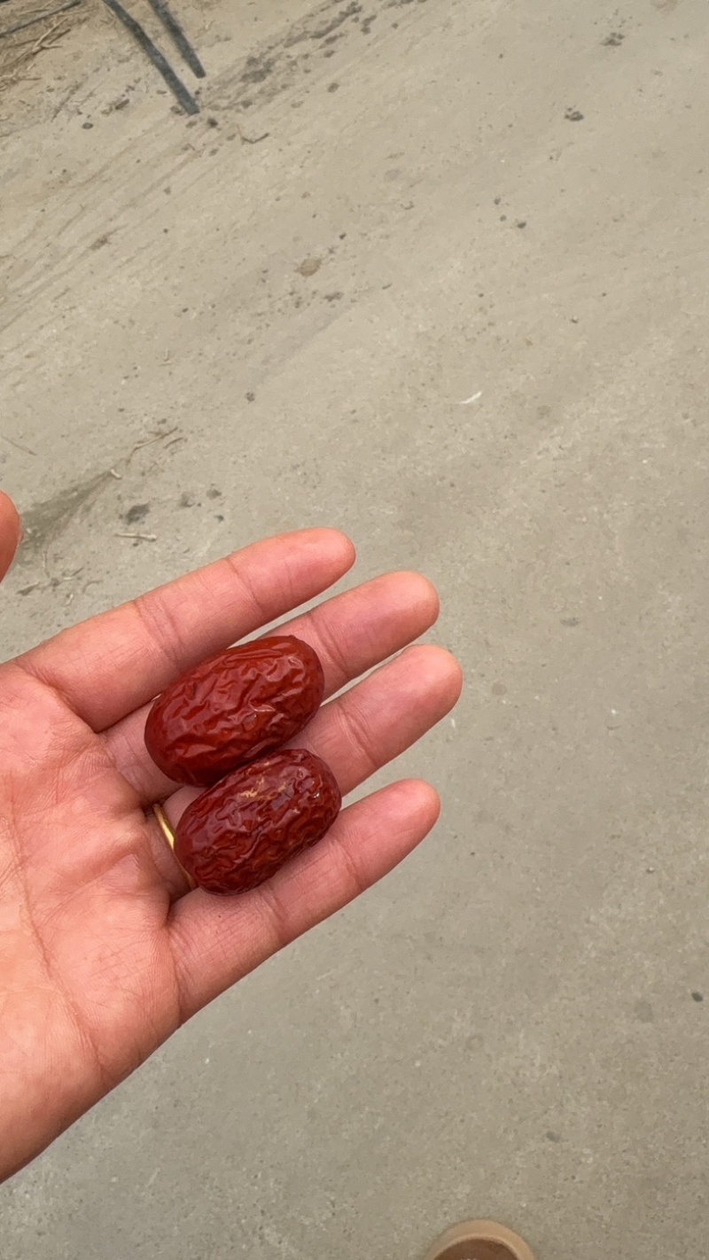 河南灰枣产区直发货源充足，全国发货欢迎选购