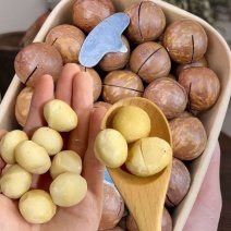 夏威夷果/产区直发/货源充足/欢迎选购
