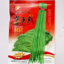 苏瑞喜多多豇豆种子，早熟品种翠绿色条品种种子