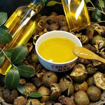 纯正山茶油