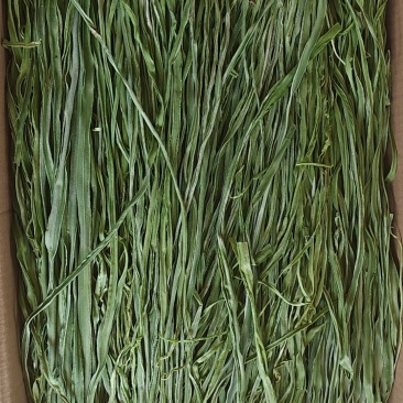 大理宾川贡菜