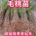 桃树苗毛桃苗桃树实生苗桃树占木苗