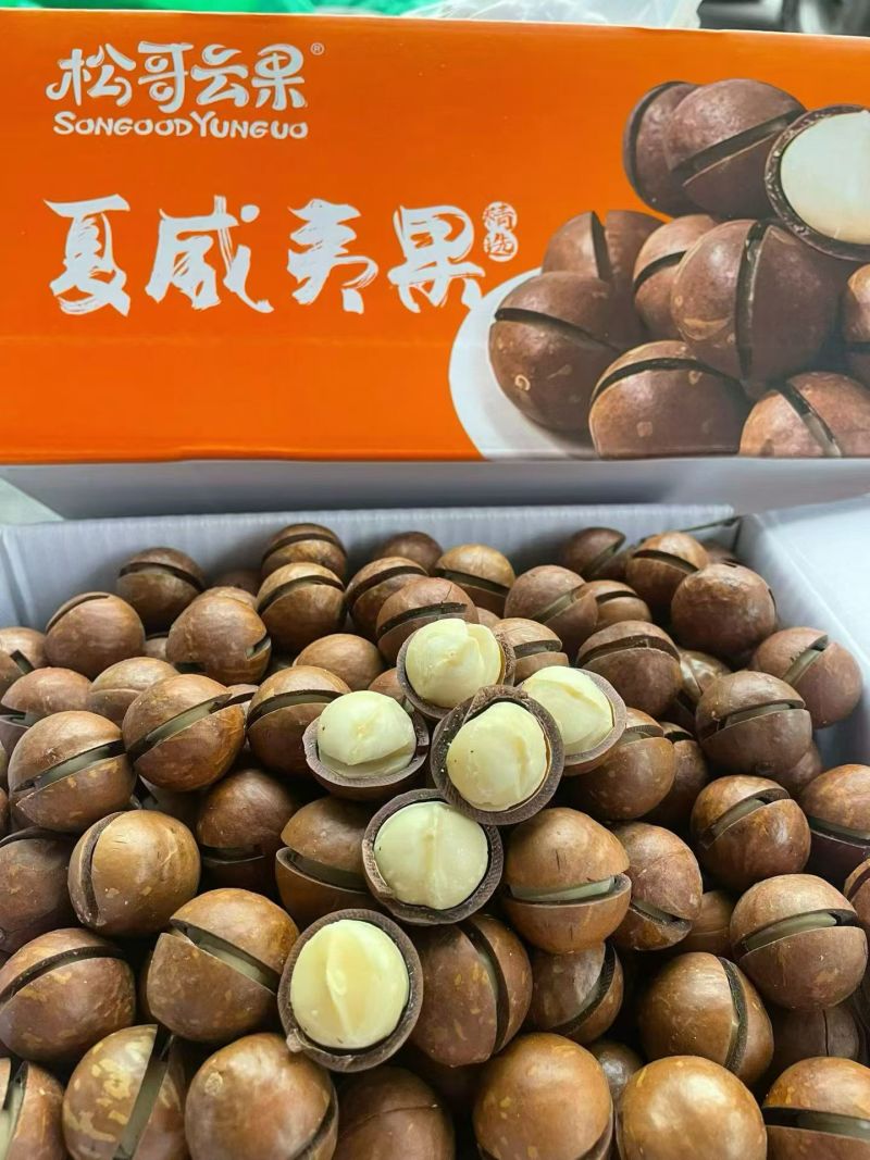 大量批发手捏夏威夷坚果，品质保证