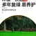 狗牙根百慕大马尼拉高羊茅四季青草坪种子