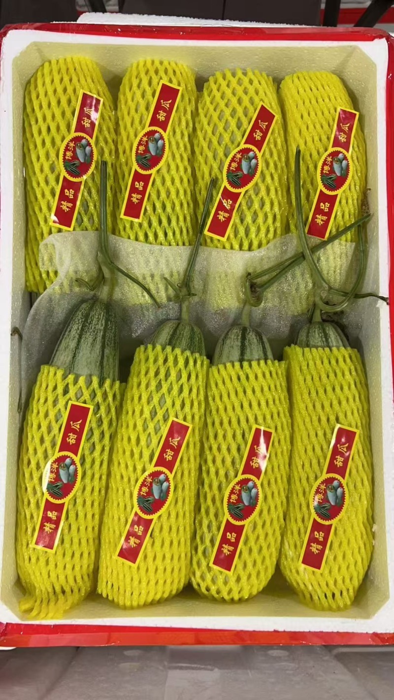 甜瓜，羊角蜜，博洋六一，产地大量供应电商供应商场团采