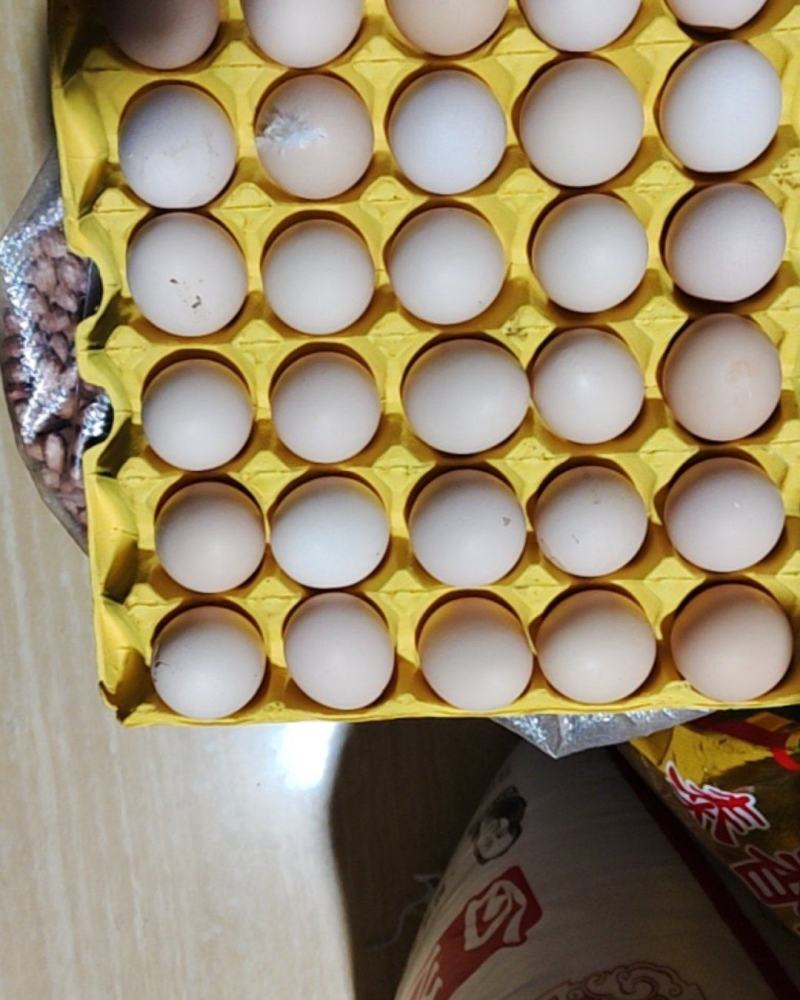 鸡蛋大量有货基地直供品质优可视频看货欢迎咨询来电