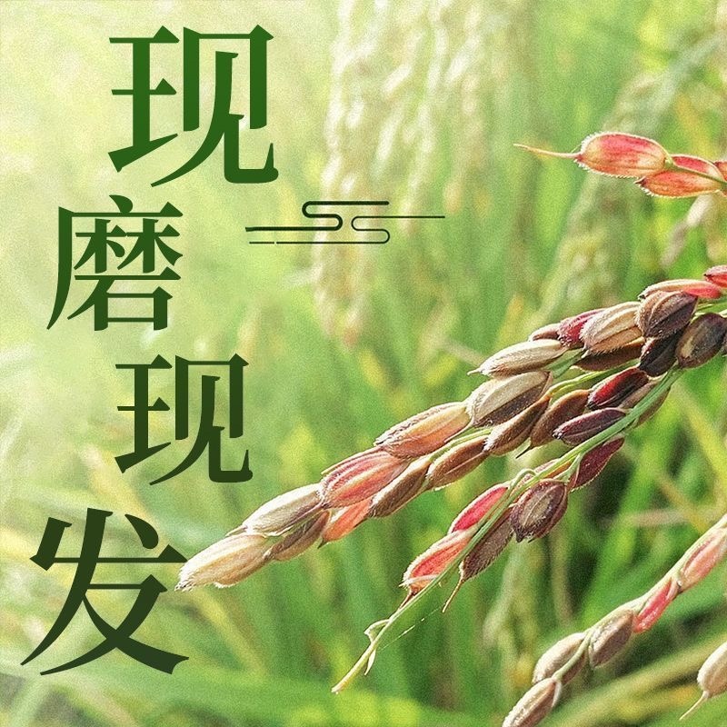 黑龙江稻花香现货包邮新鲜直供品质保证现磨现发欢迎联系