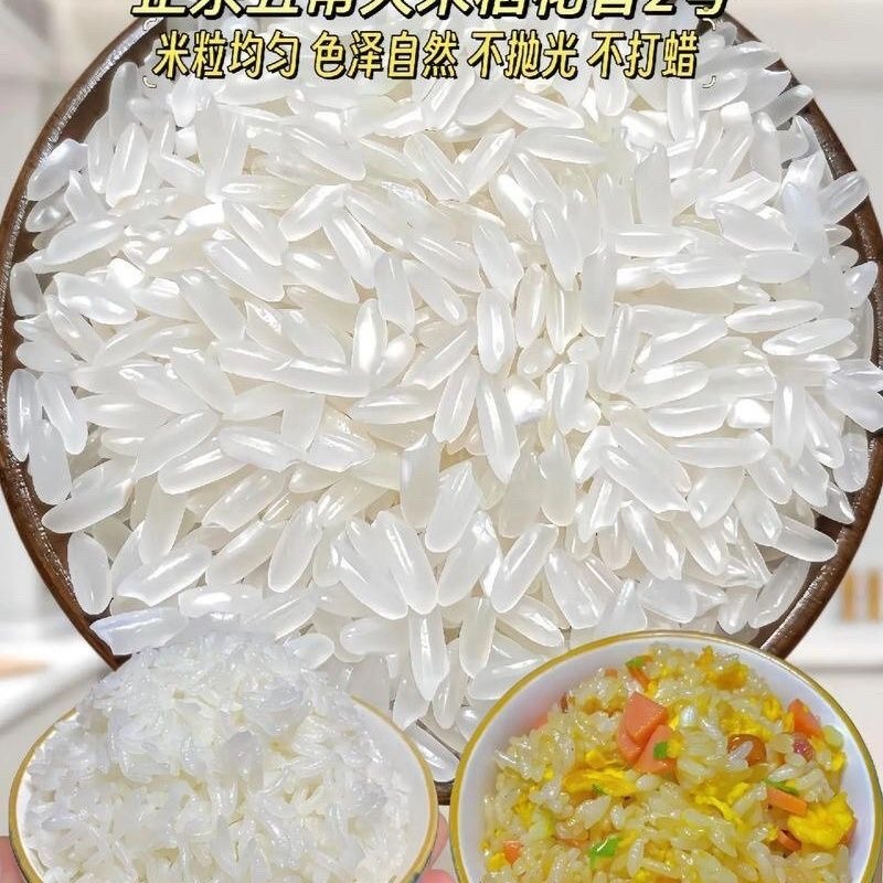 五常稻花香大米现货包邮诚信经营欢迎联系接商超市场电商
