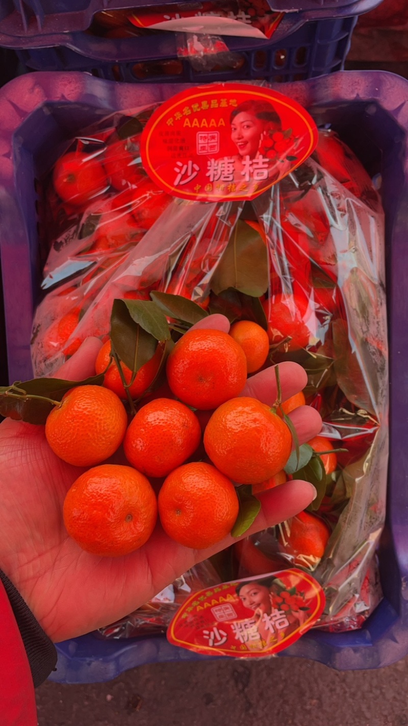沙糖桔