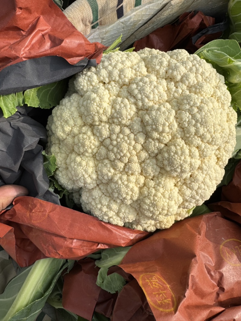 精品花菜