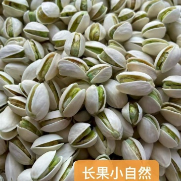 大量批发精品小颗粒开心果