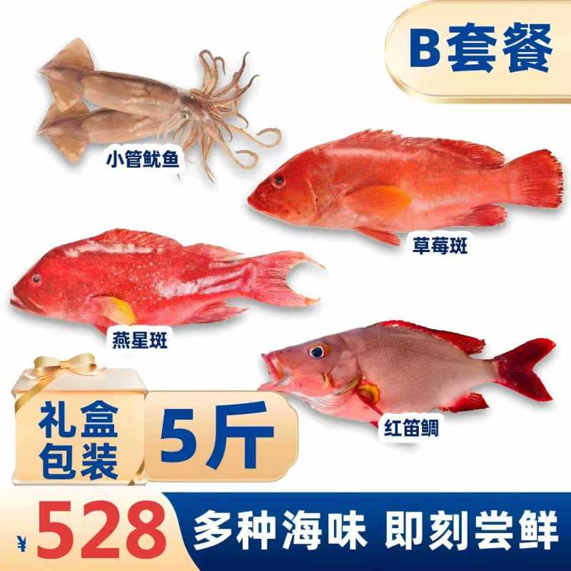 草莓斑燕星斑红笛鲷小管鱿鱼