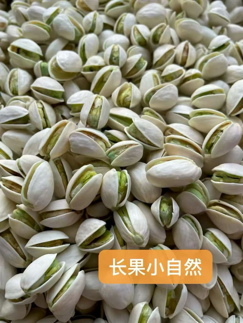大量批发精品小颗粒开心果