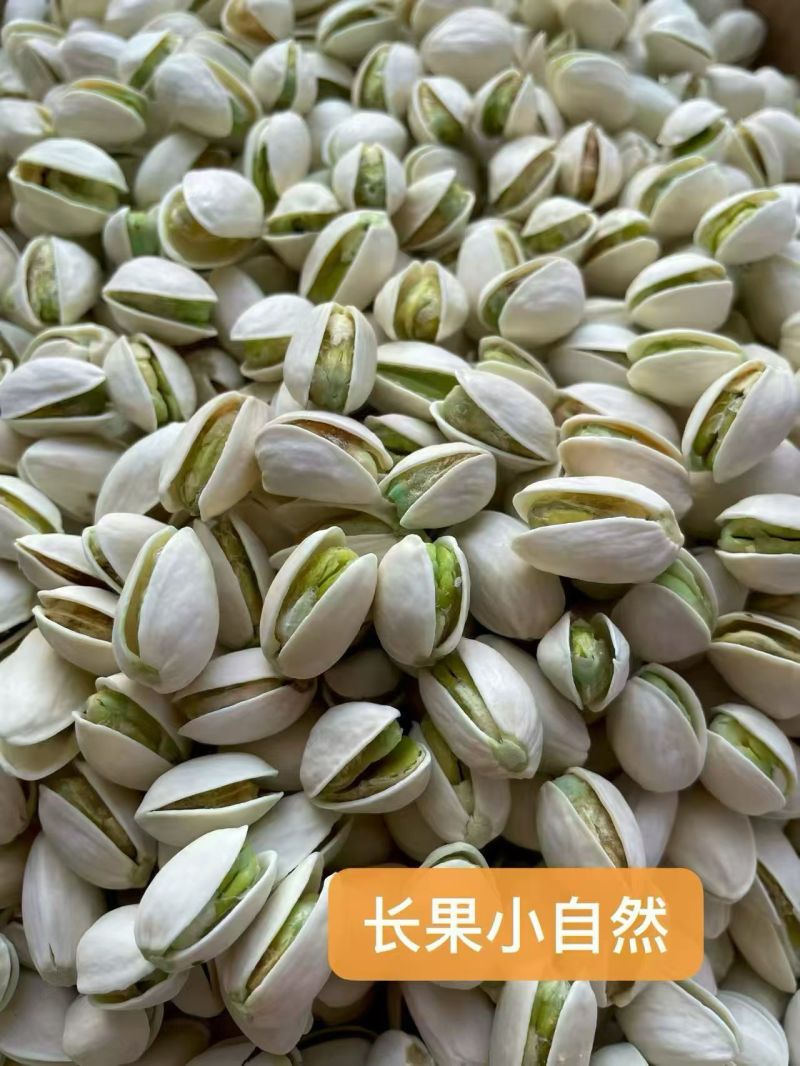 大量批发精品小颗粒开心果