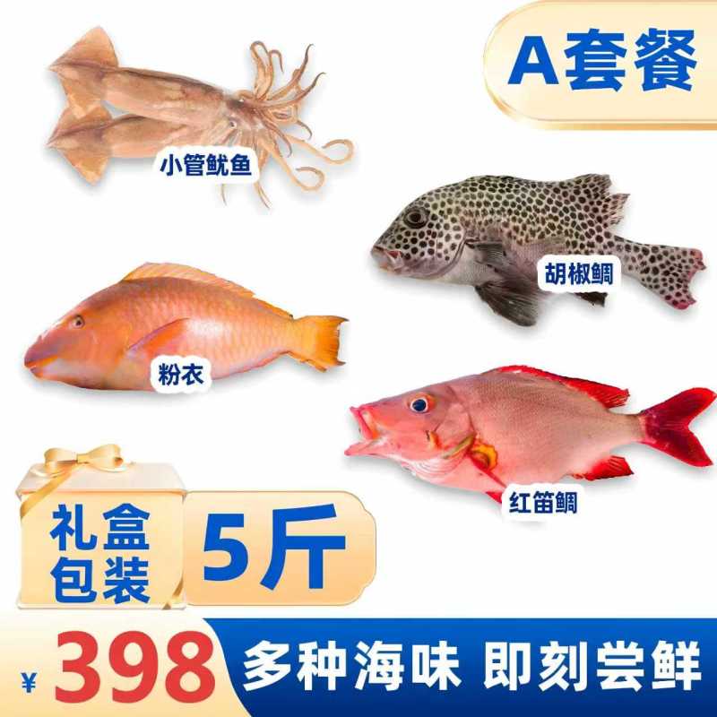 草莓斑燕星斑红笛鲷小管鱿鱼