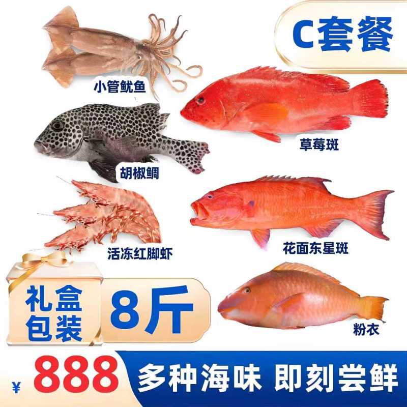 草莓斑燕星斑红笛鲷小管鱿鱼