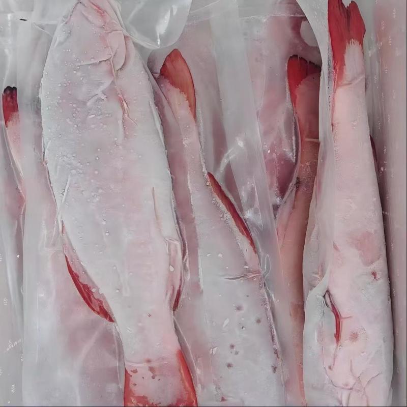 东星斑等鱼C套餐