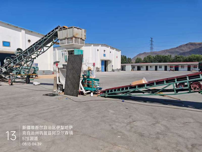 2025东北二等粮玉米粒，国储粮库2130，长期货源充足