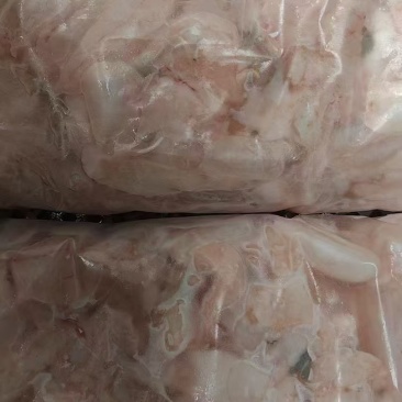 现货翘嘴鱼泡，鲜鱼泡现有1500斤，欢迎认购