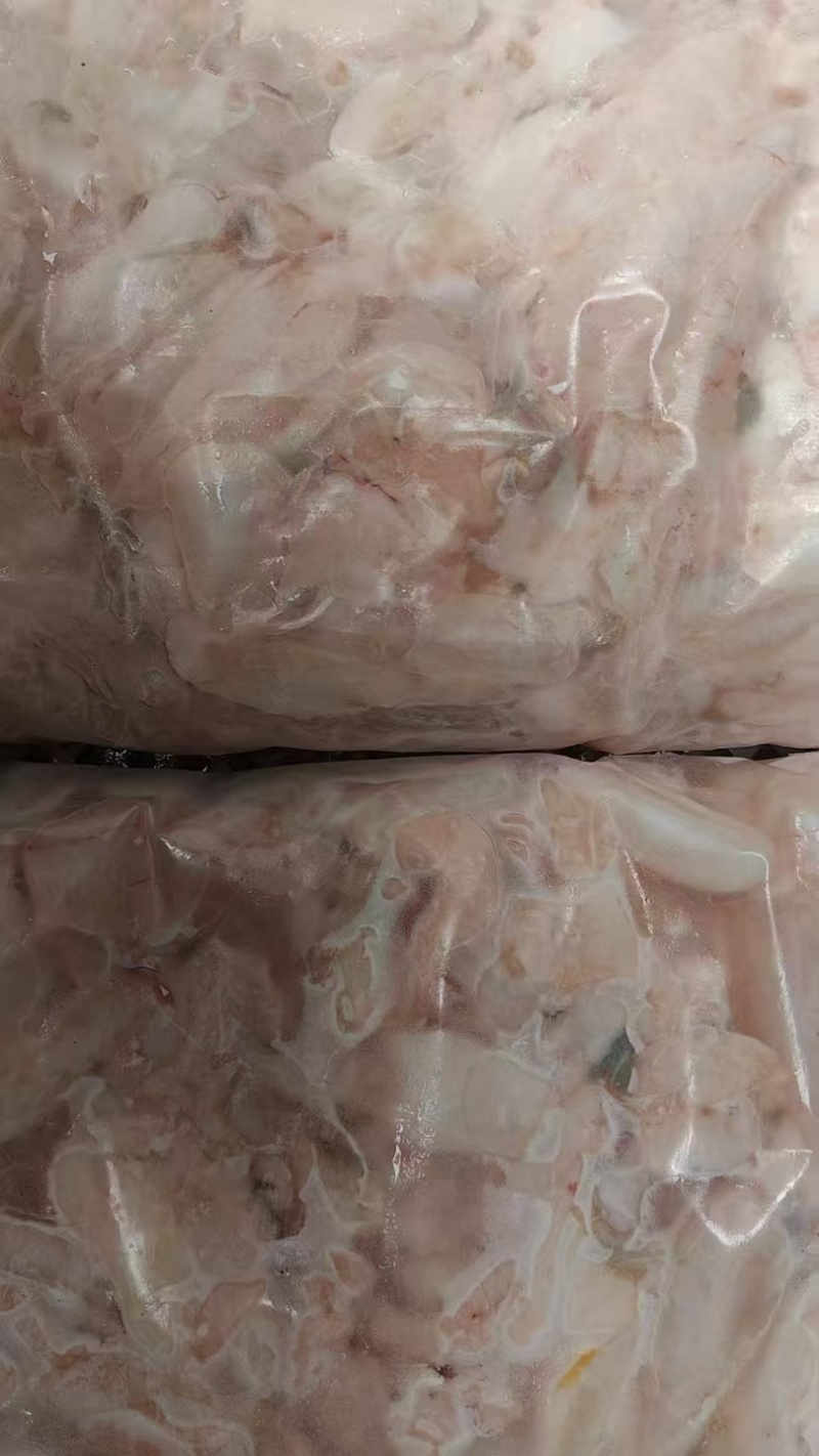 现货翘嘴鱼泡，鲜鱼泡现有1500斤，欢迎认购