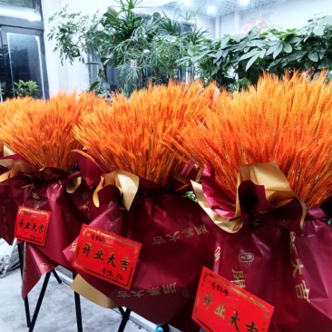 麦穂干花欢迎老板选购260一件