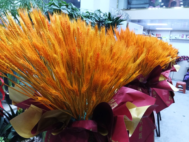 麦穂干花欢迎老板选购260一件