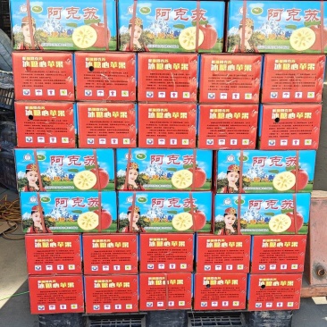 河北冰糖心富士苹果，单膜富士，超甜富士