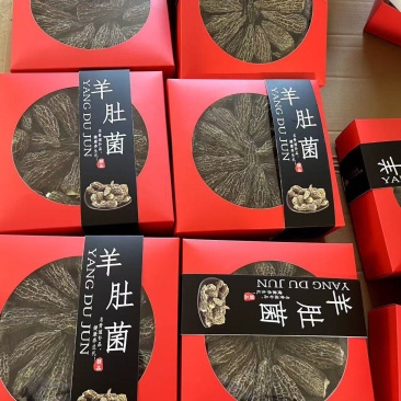 云南昆明羊肚菌干货大量批发