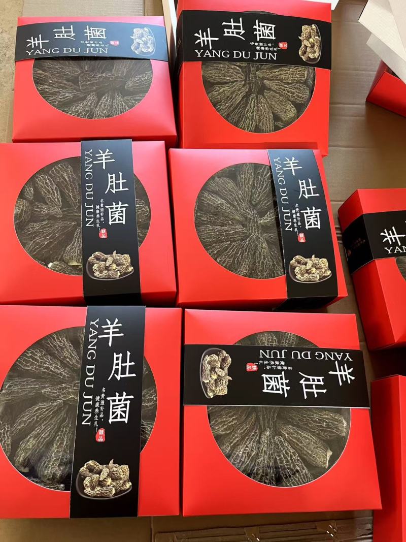 云南昆明羊肚菌干货大量批发