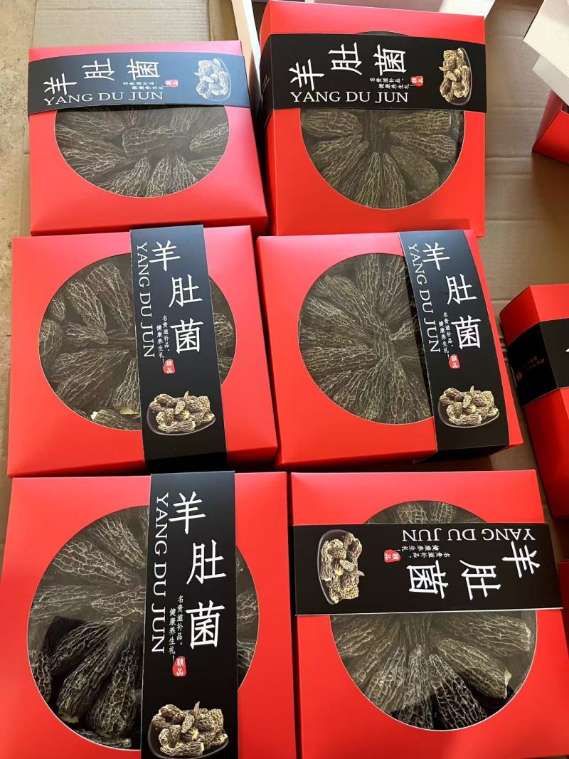 云南昆明羊肚菌干货大量批发