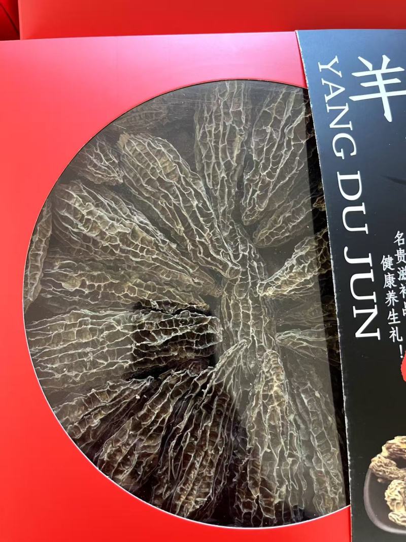 云南昆明羊肚菌干货大量批发