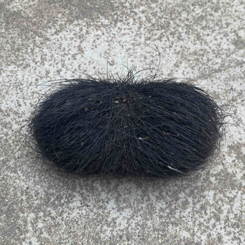 猪宝