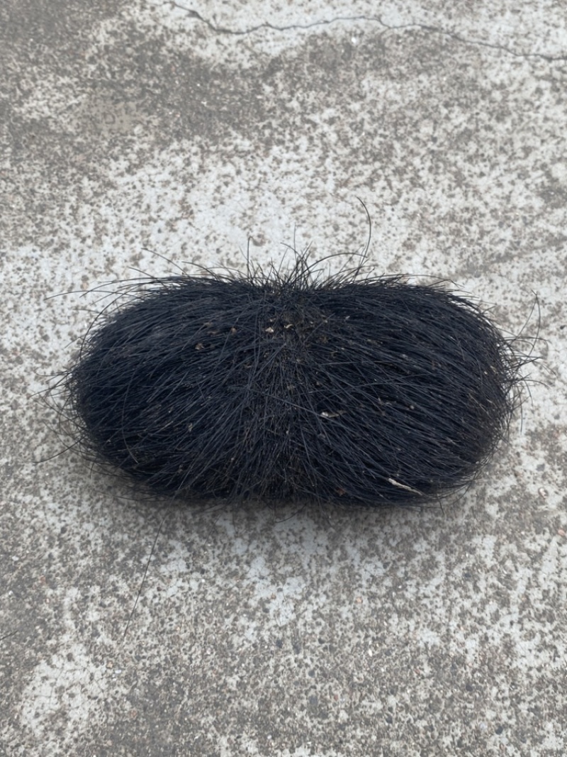 猪宝