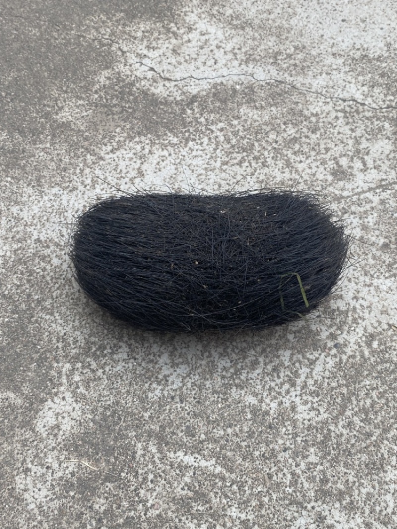 猪宝
