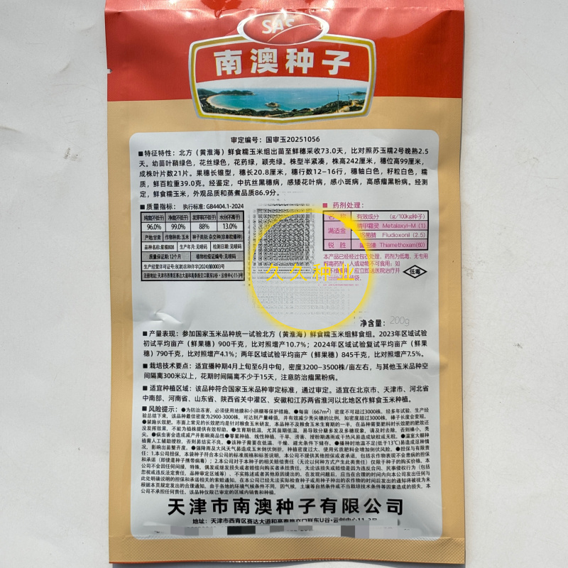 星糯808白糯玉米种子籽早熟大棒甜加糯高产春夏秋季播