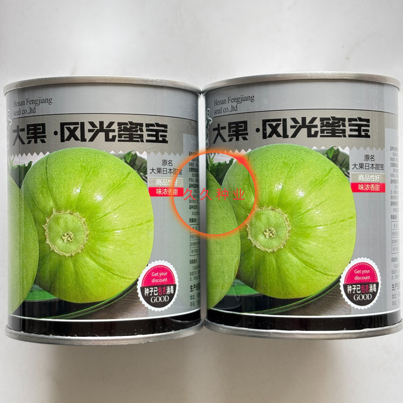 大果风光蜜宝甜瓜种子果淡黄肉白绿色肉质香脆甜耐贮运春秋季