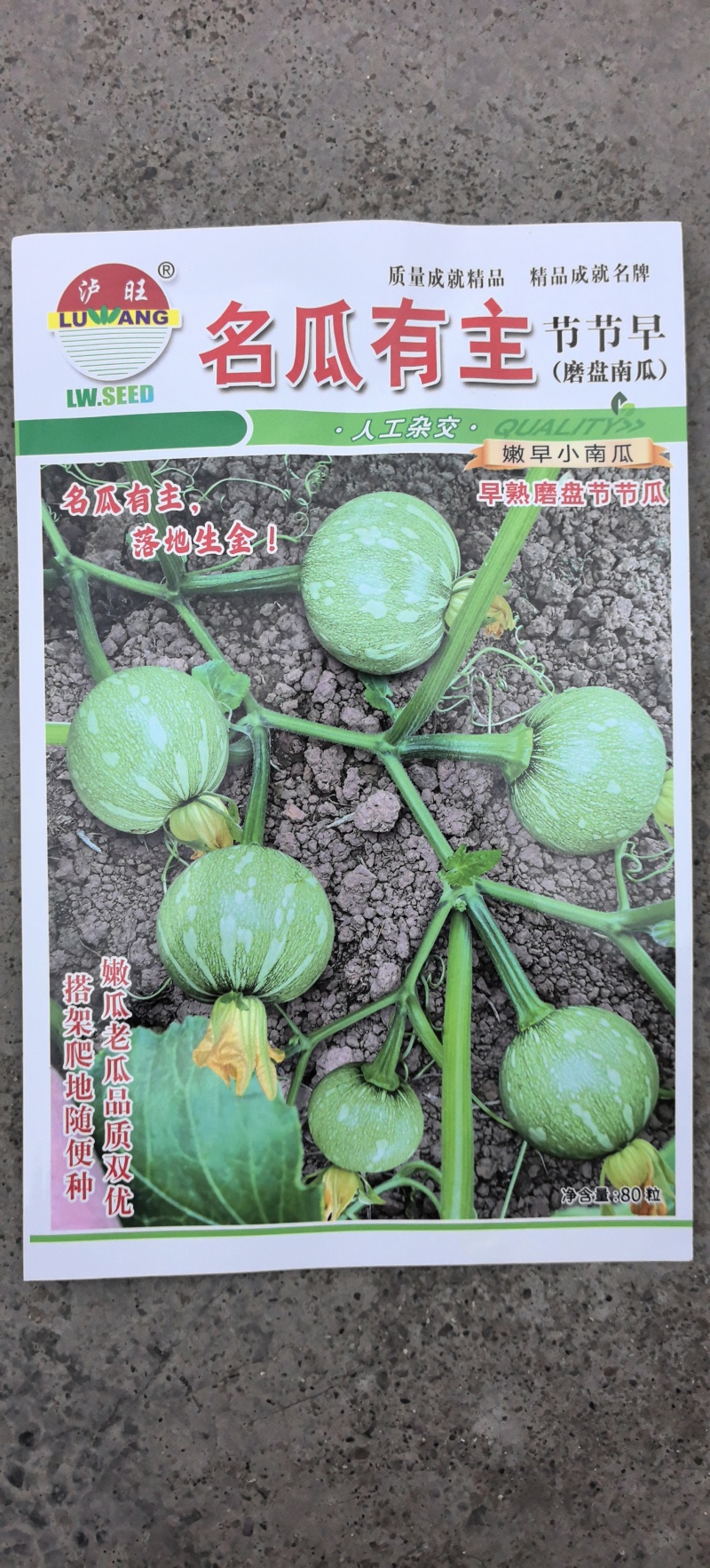 南瓜种子名瓜有主扁圆南瓜杂交种老嫩兼用嫩瓜靓老瓜甜面