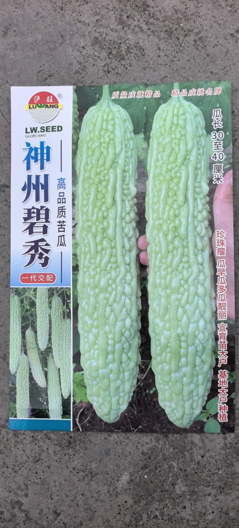 苦瓜种子神州碧秀浅绿白色长条顺直厚肉结瓜密产量高
