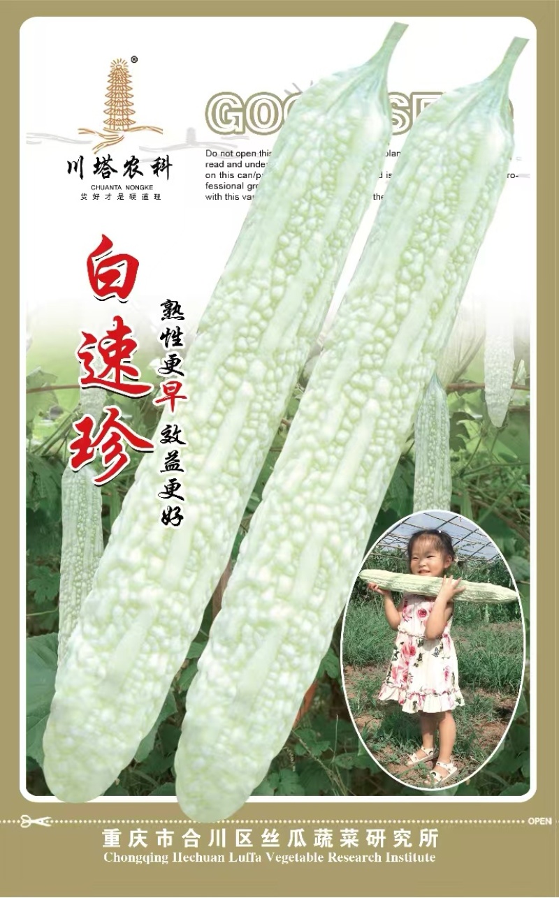 苦瓜种子白速珍杂交一代早熟中长棒白苦瓜顺直高产抗病