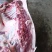 二代野猪商品