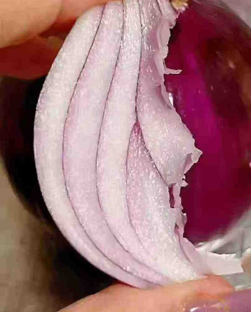 紫皮洋葱120吨现货，650一吨，全国发货
