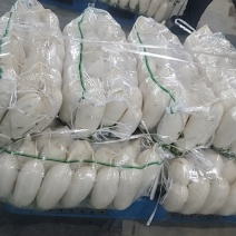 白萝卜