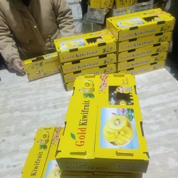 【精品礼盒】黄心猕猴桃一手货源产地源头直发对接电商团购