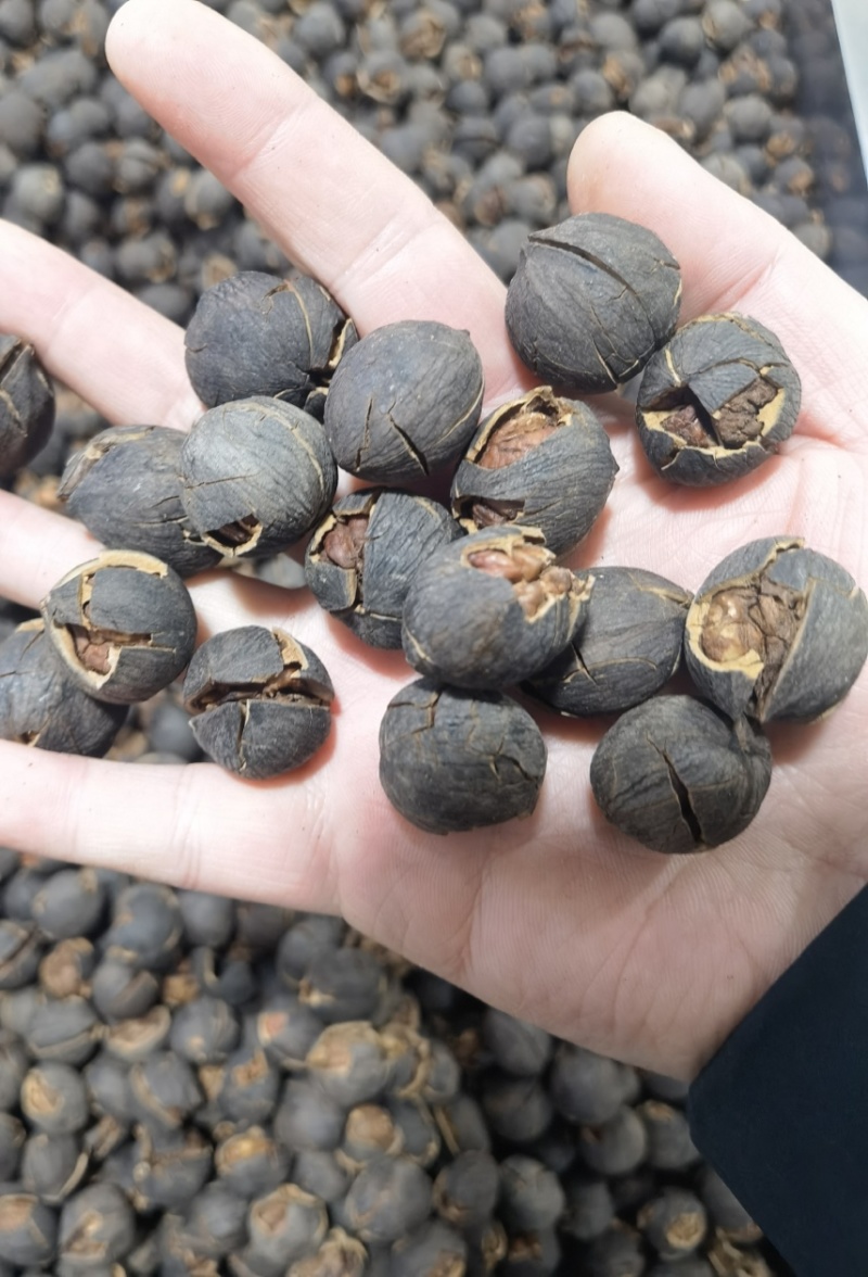 纯野生山核桃奶香味原味椒盐味大量现货