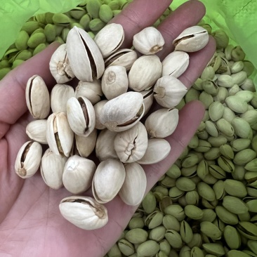 开心果电商货