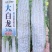 苦瓜种子大白龙306中长大白苦瓜杂交一代品种