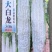 苦瓜种子大白龙306中长大白苦瓜杂交一代品种